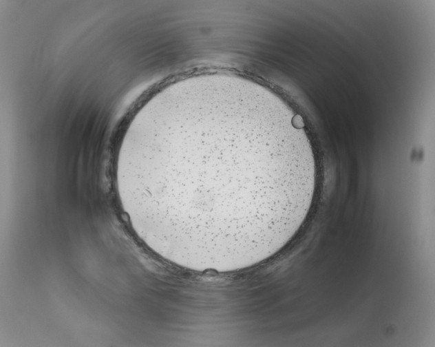 X0000113210878200910221100