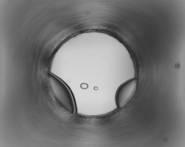 X0000113210881200910221100