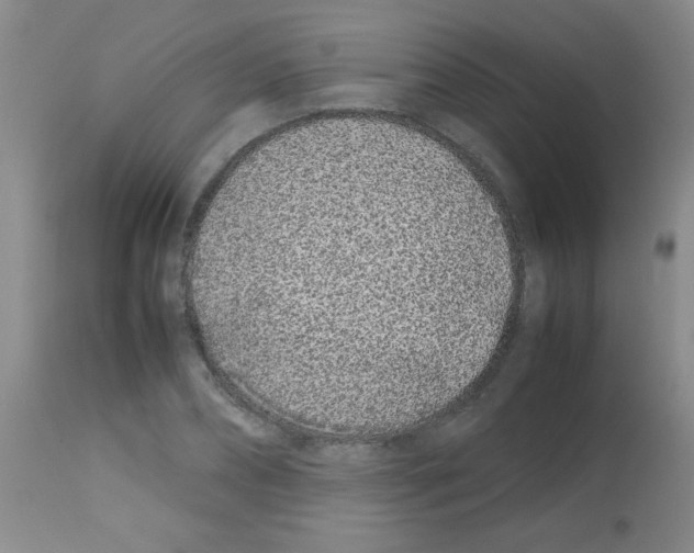 X0000113210882200910221100