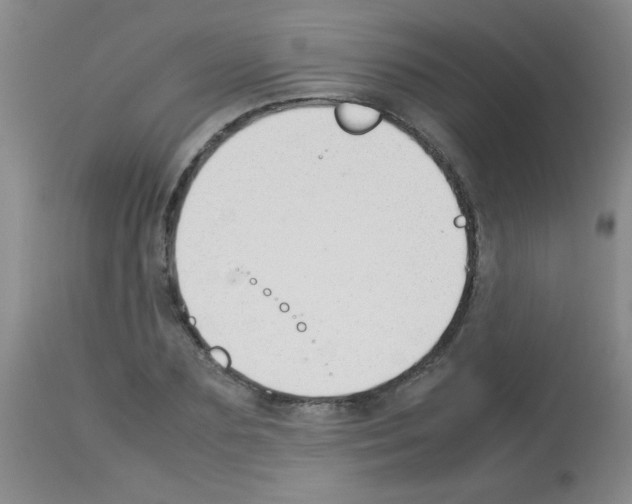 X0000113210883200910221100