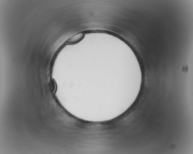 X0000113210885200910221100