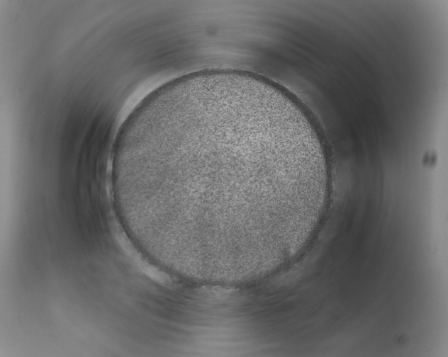 X0000113210886200910221100