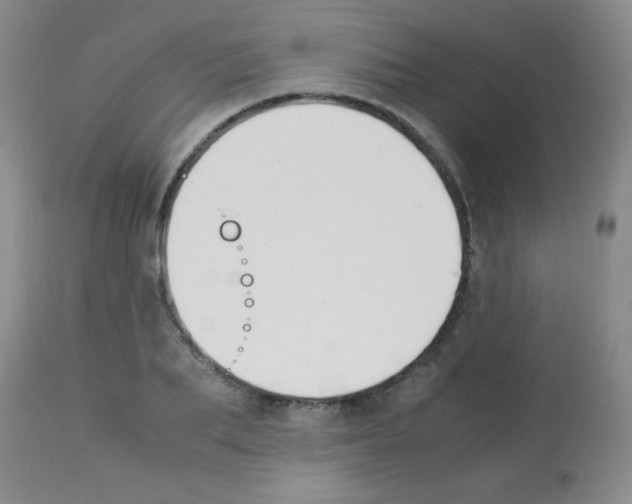 X0000113210887200910221100