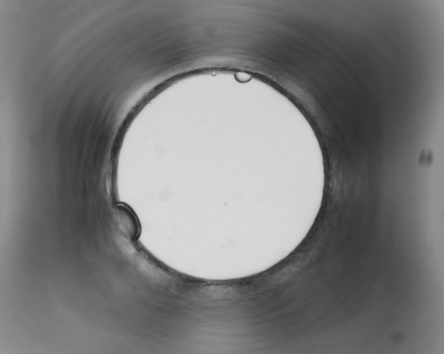 X0000113210888200910221100