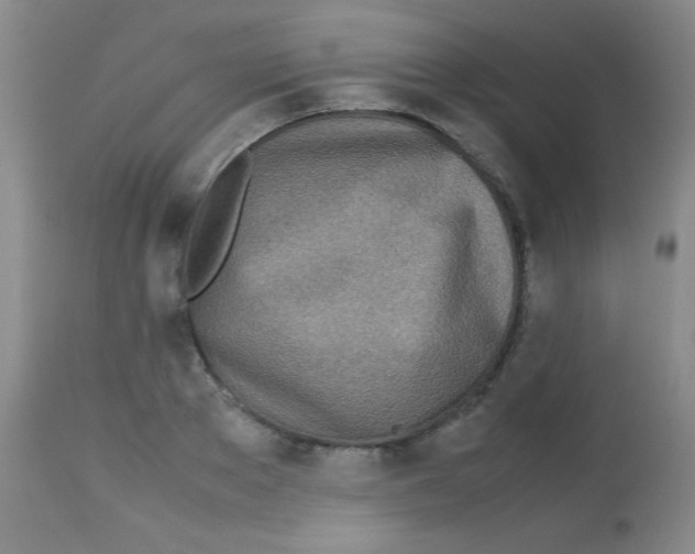 X0000113210889200910221100