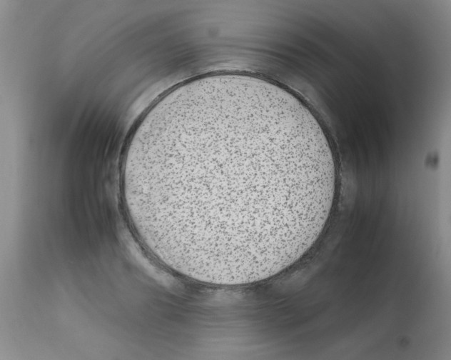 X0000113210890200910221100