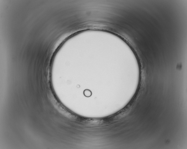 X0000113210891200910221100