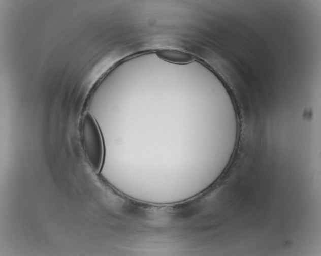 X0000113210893200910221100