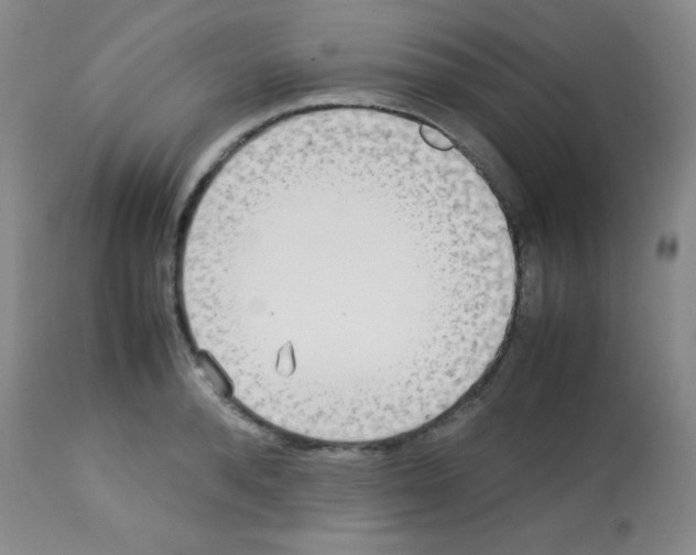 X0000113210896200910221100