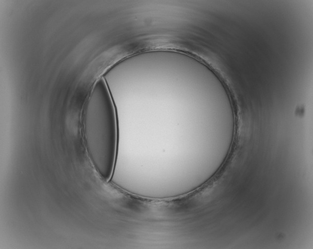 X0000113210897200910221100