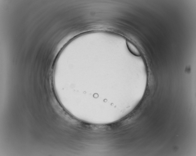 X0000113210899200910221100