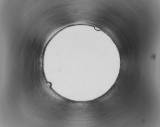 X0000113210900200910221100