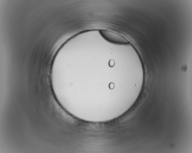 X0000113210901200910221100