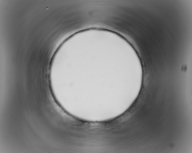 X0000113210903200910221100