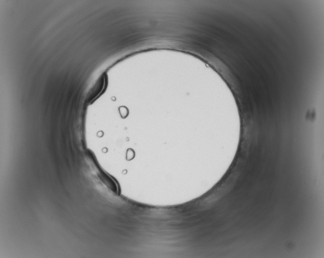 X0000113210904200910221100