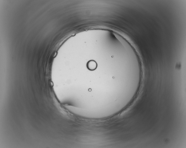 X0000113210905200910221100