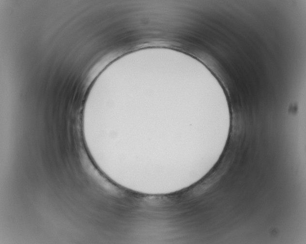 X0000113210906200910221100