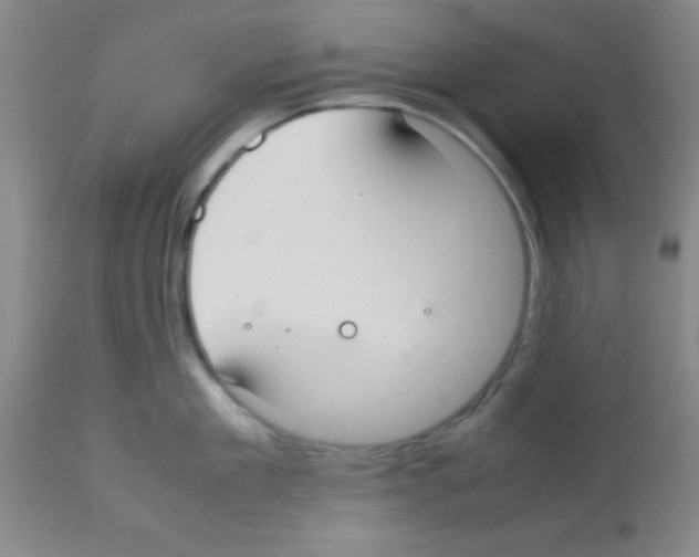 X0000113210909200910221100