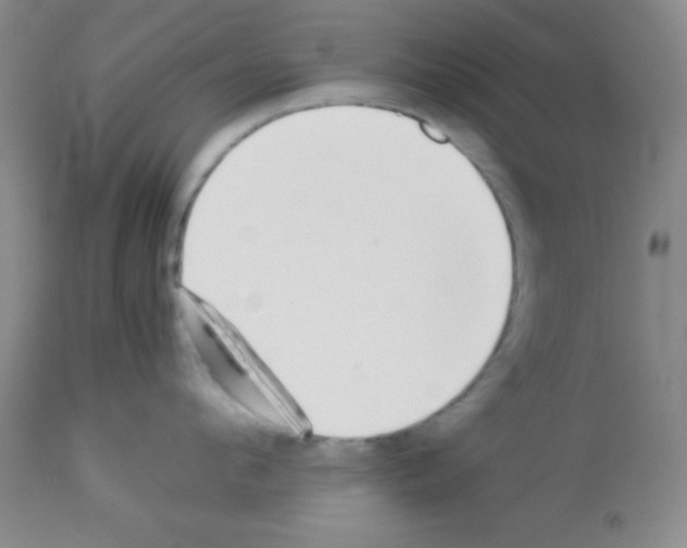 X0000113210912200910221100