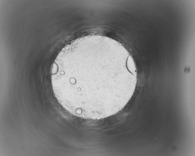 X0000113210913200910221059