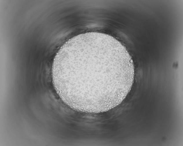 X0000113210917200910221059