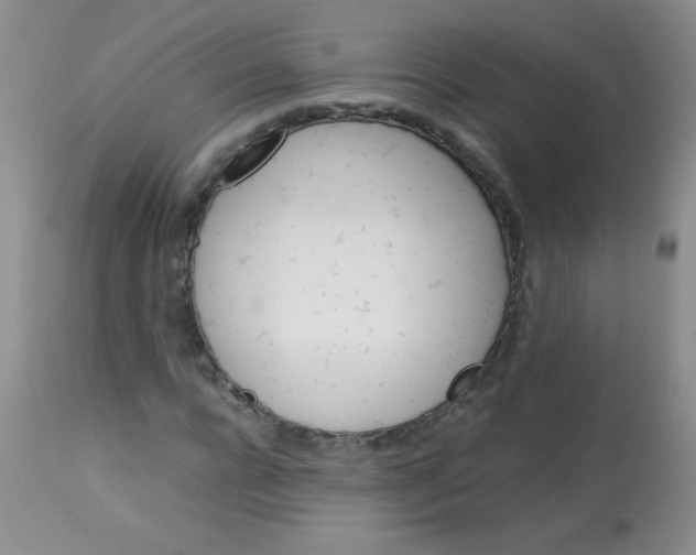 X0000113210920200910221059