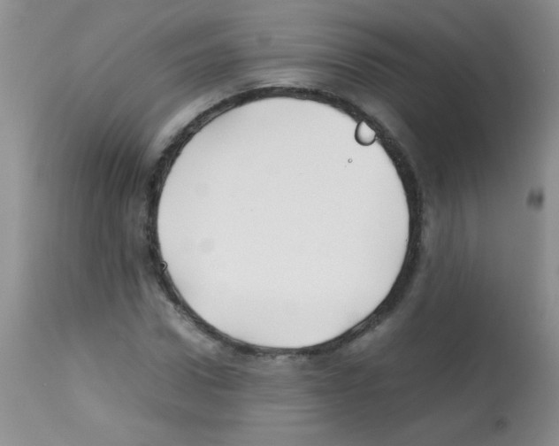 X0000113210922200910221059