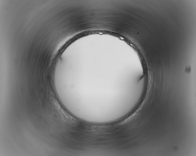 X0000113210925200910221059