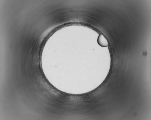 X0000113210927200910221059