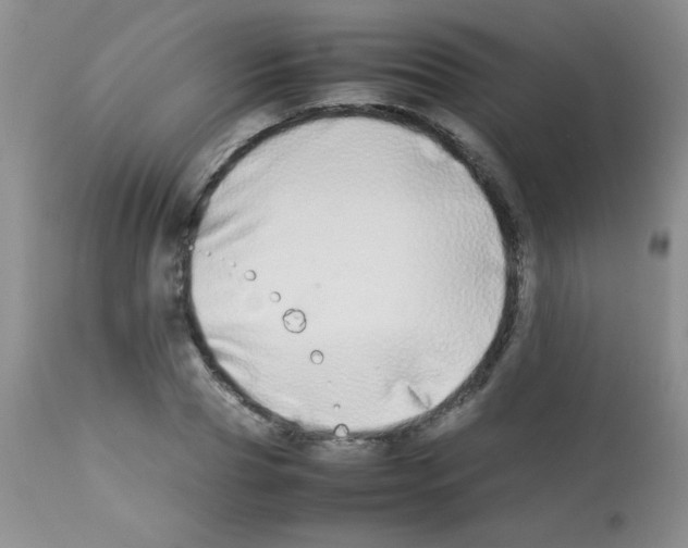 X0000113210929200910221059