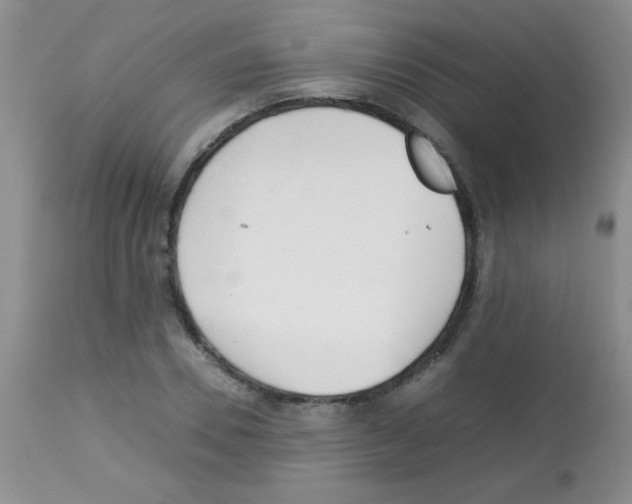 X0000113210930200910221059