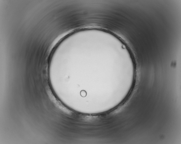 X0000113210933200910221059