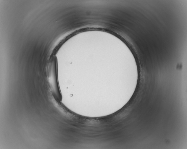 X0000113210935200910221059