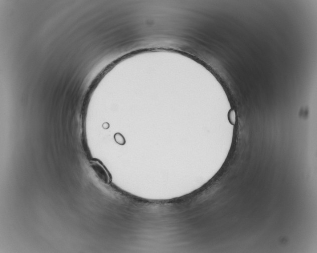 X0000113210936200910221059