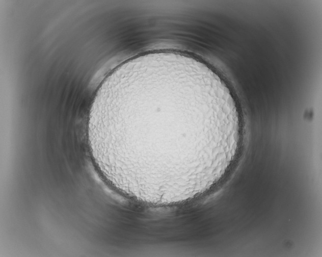 X0000113210937200910221059