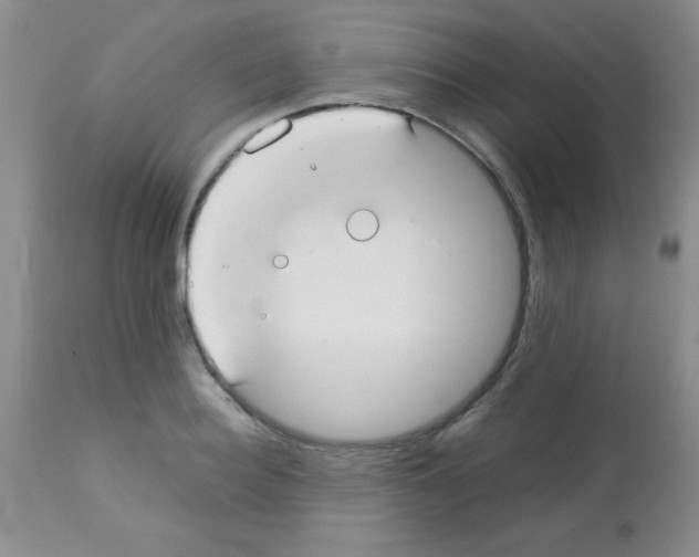 X0000113210940200910221059