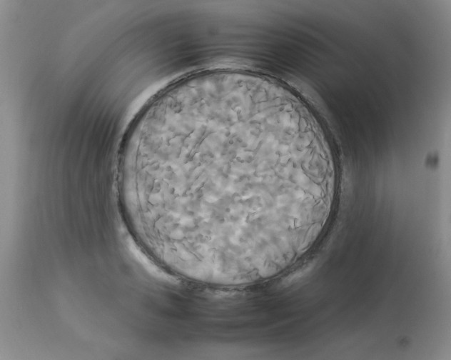 X0000113210941200910221059