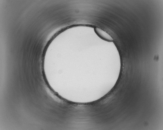 X0000113210942200910221059