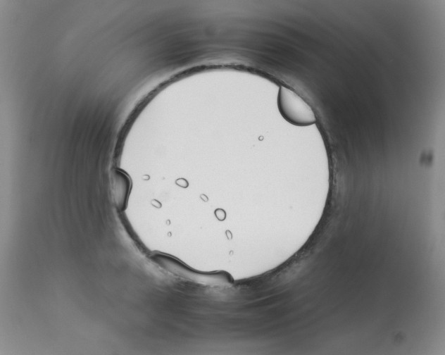 X0000113210943200910221059