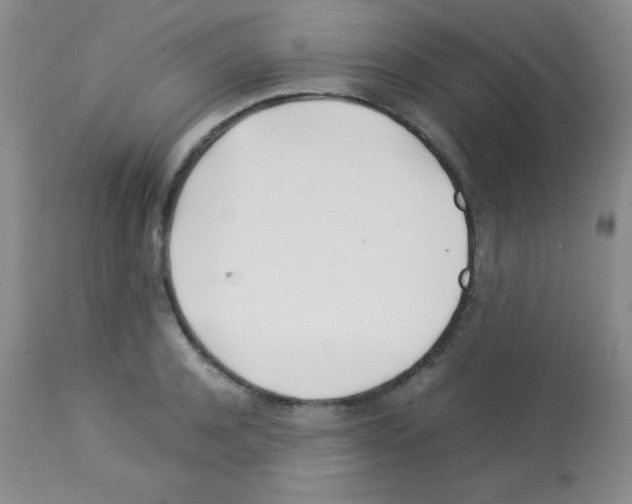 X0000113210944200910221100