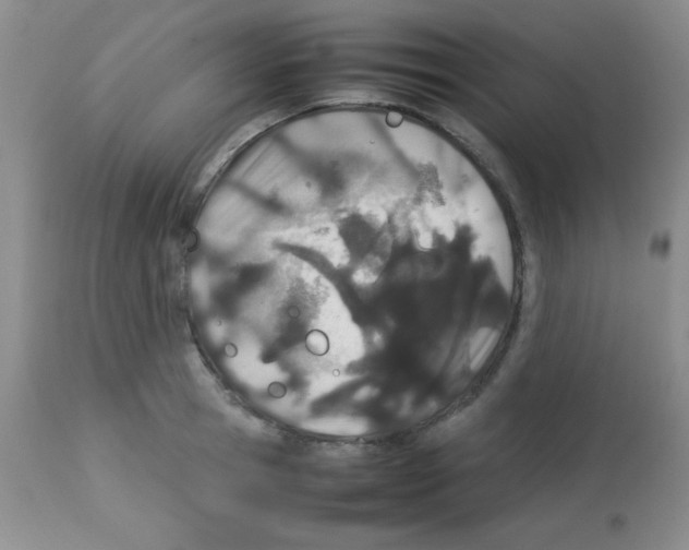 X0000113210945200910221100