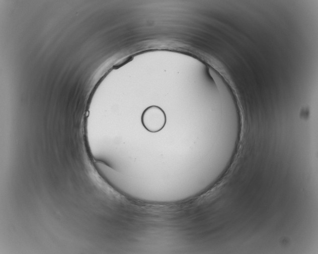 X0000113210946200910221100