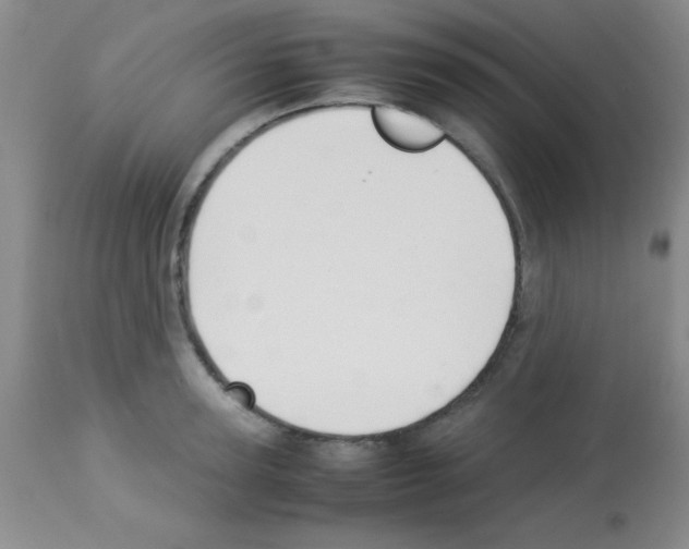 X0000113210947200910221100