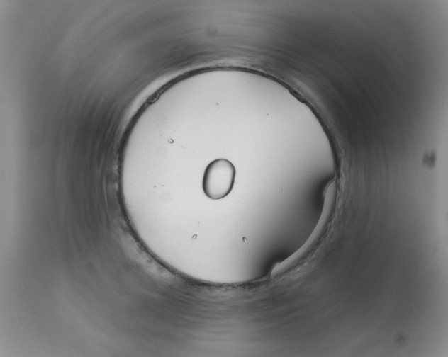 X0000113210948200910221100