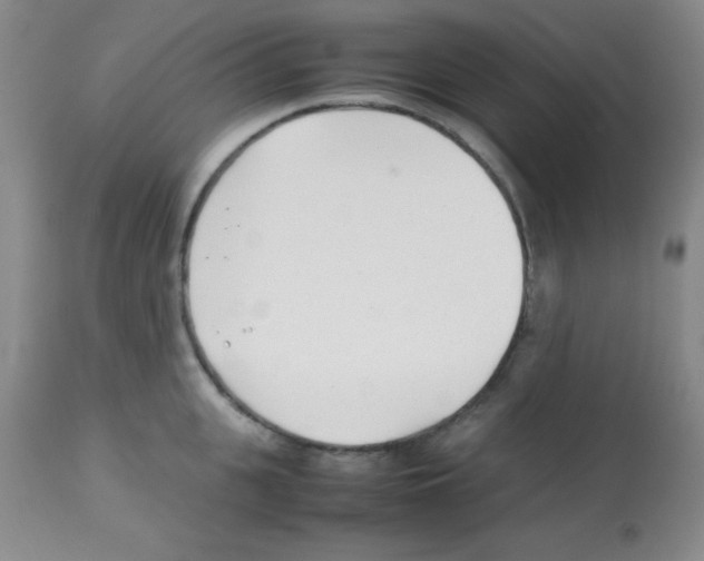 X0000113210951200910221100