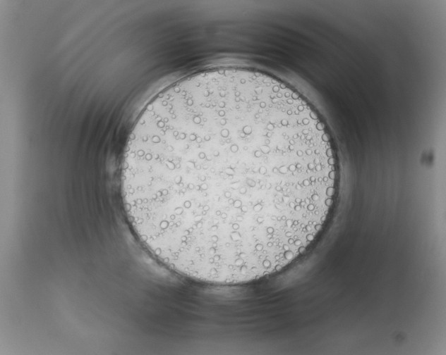 X0000113210953200910221100