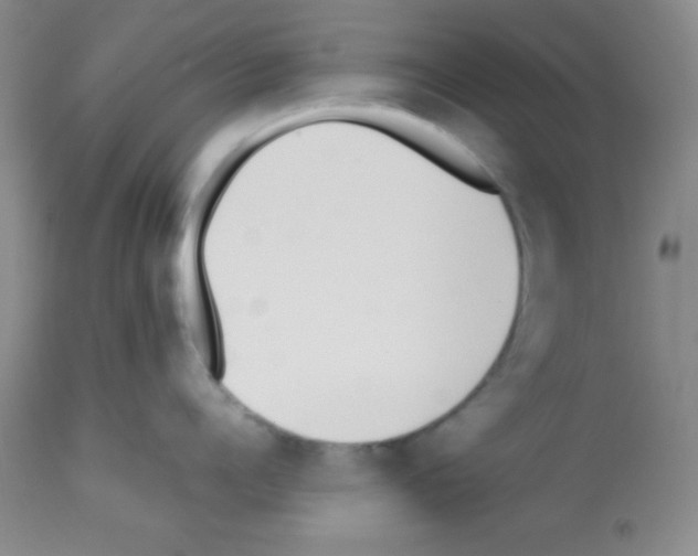 X0000113210960200910221100