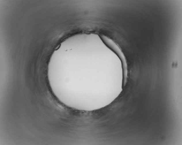 X0000113210961200910221059