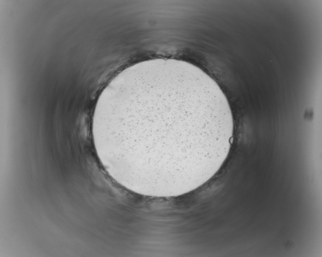 X0000113210962200910221059