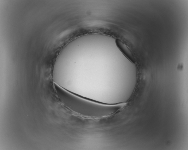 X0000113210965200910221059